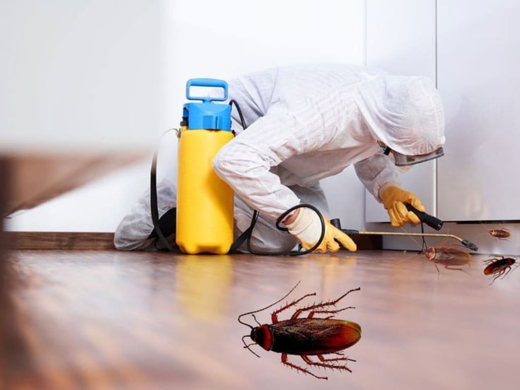 Why You Should Never Fumigate Only One Area of Your Home | Kweeza Cleaning
